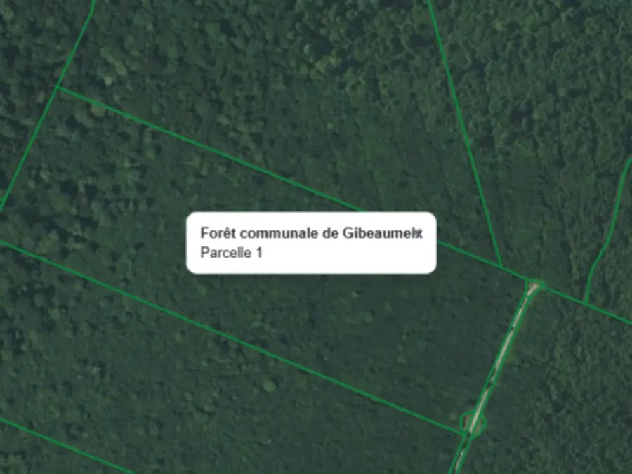 Parcelle forestière d'une forêt communale affichée sur une carte de chasse, avec son nom et son numéro de parcelle