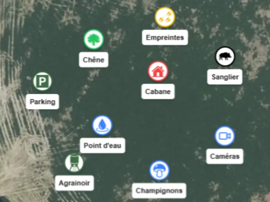 Points d'intérêt sur une carte de chasse : parking, chêne, cabane, point d'eau, agrainoir et coin à champignons