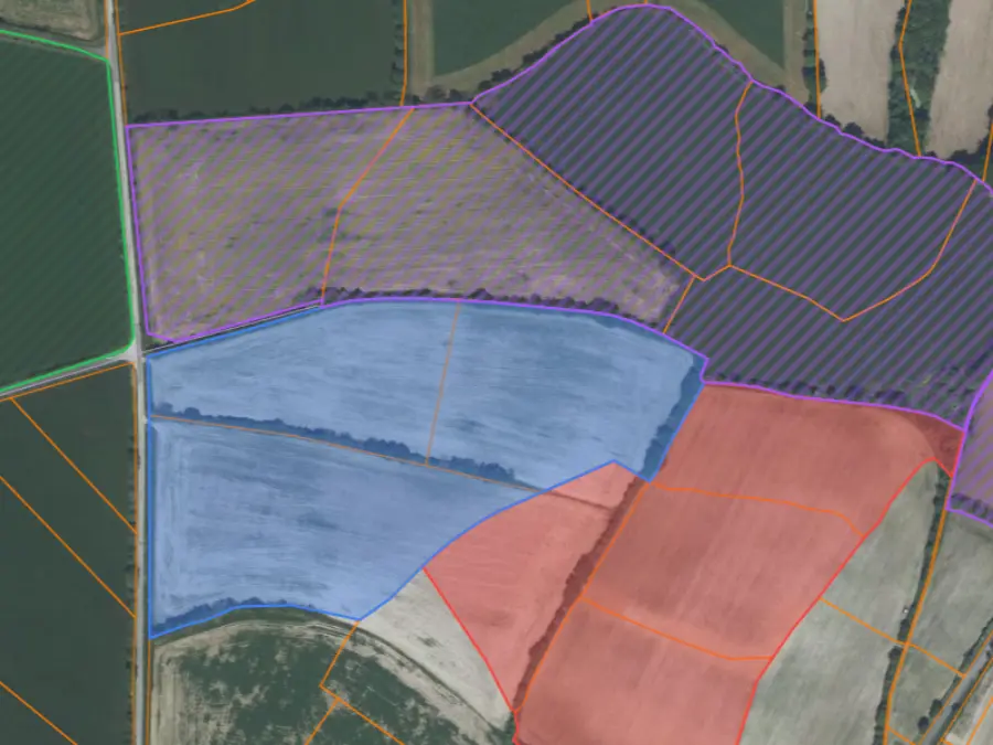 Territoire de chasse tracé sur le cadastre : quatre zones colorées épousant les limites de parcelles, vues en satellite